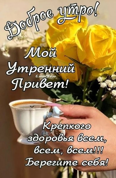 ***Victoria Viktorovna*** - 11  2024  04:52