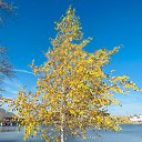 ���� Nataly, ����� - ��������� 4 ������� 2025 � ������ ������ ��������