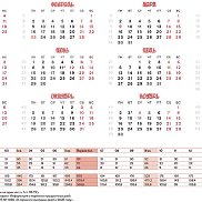 ���������, 39 ���, ������