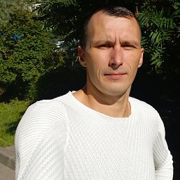 , 29 , 