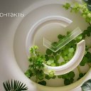 ���� ������, ���������, 65 ��� - ��������� 24 ������ 2025 � ������ ������ ��������