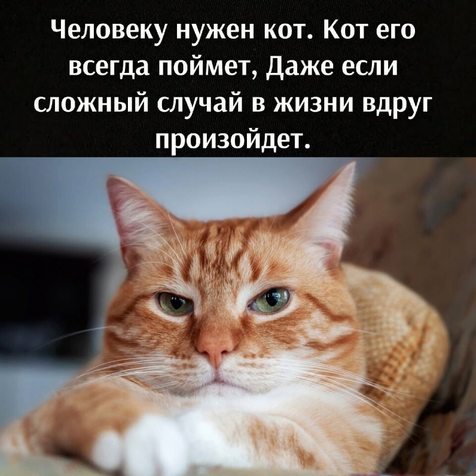    - 2  2024  22:36