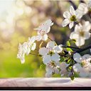 ���� �����, �������, 54 ���� - ��������� 14 ������ 2026 � ������ ������ ��������