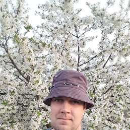 , 30, 