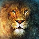 ���� ����.229, ����, 44 ���� - ��������� 30 ������� 2023 � ������ ���� ����������