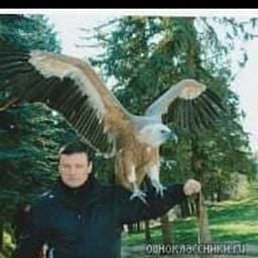 ������, ������, 59 ���