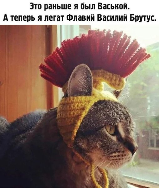 ����� ��������