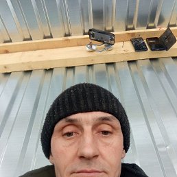 , 41 , --