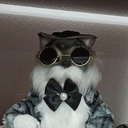 ����, ������, 37 ���