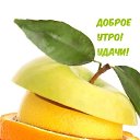 ���� �������@, �������� - ��������� 19 ������� 2026 � ������ ������ ��������