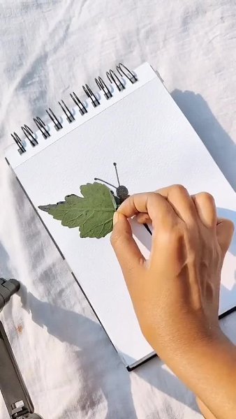 �o��ae� �pe�pac�oe.����� �������