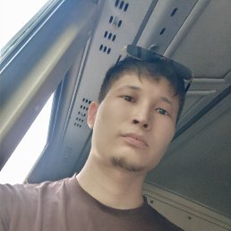 , 29, 