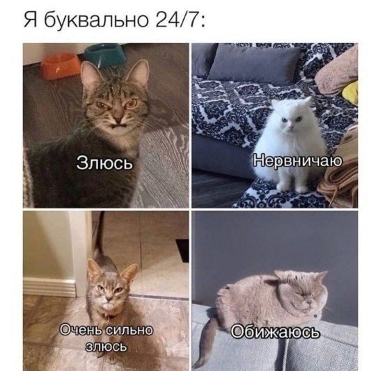 ��� ����� �!