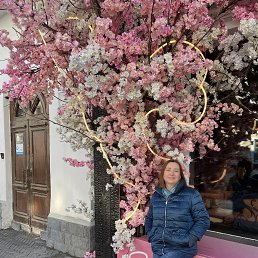 , 53, 