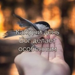 ���� �������, ����������� - ��������� 25 ���� 2026