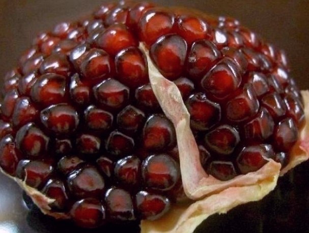 10 p ec paa.1. oae eoo. aoe ecoe coco paaa  opa c aee. p ...