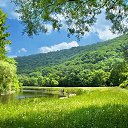 ���� ��������, ������, 49 ��� - ��������� 18 ������ 2025 � ������ ���� ����������