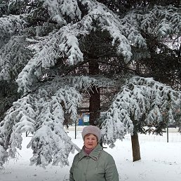 �������, ������, 73 ����