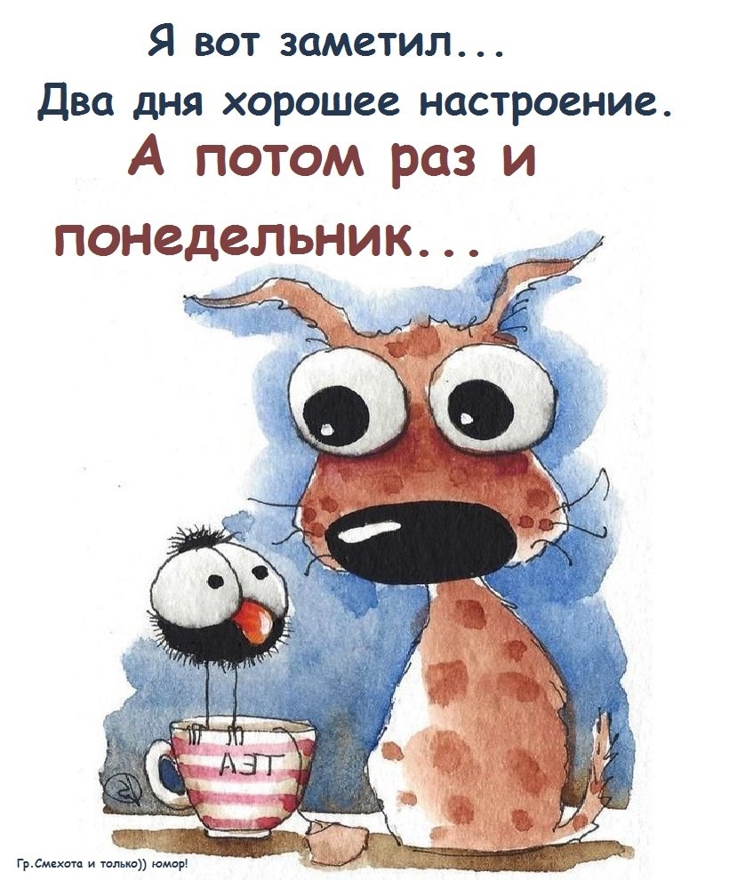  - 6  2025  19:49