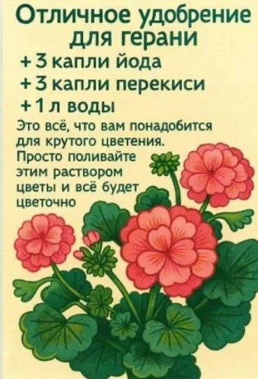 �� ����� ������! - 17 ���� 2026 � 11:12