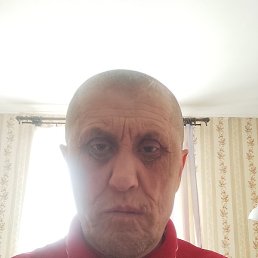 ����, ������, 41 ���