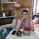 ���� ����, ����, 66 ��� - ��������� 24 ���� 2026 � ������ ���� ����������