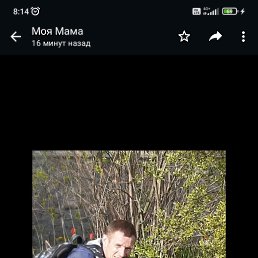 ���� �������, �����-���������, 45 ��� - ��������� 28 ������ 2023