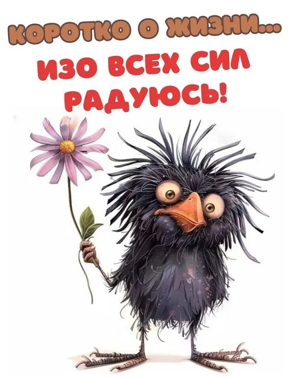   - 2  2025  14:56
