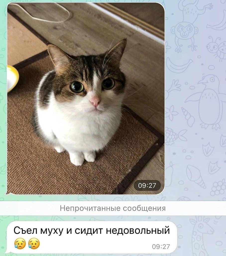   ! - 3