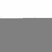 �������, 41 ���, ��������