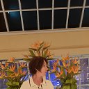 ���� �������, ������ - ��������� 27 �������� 2024 � ������ ���� ����������