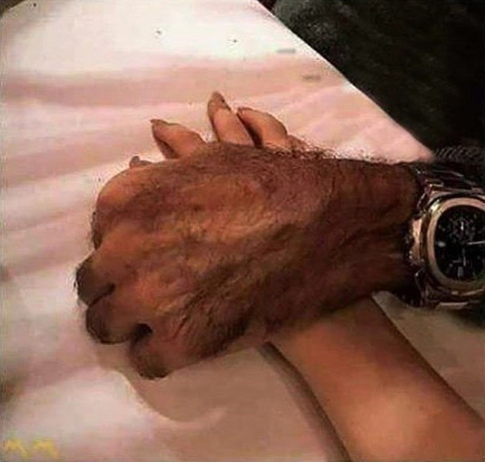   ,    