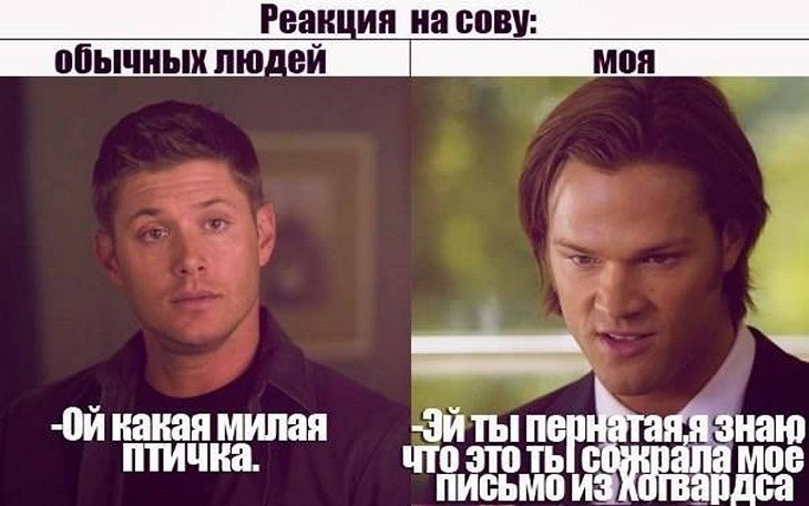 ? ,  ! - 9  2025  08:45