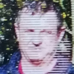 , , 52 