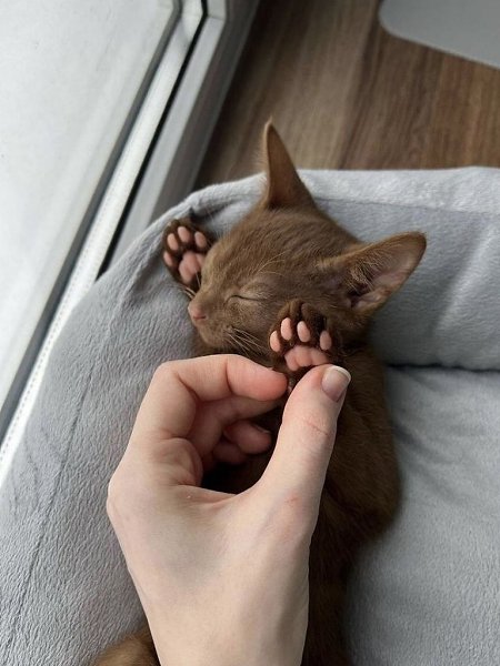 �� ����� �� ��� �������, ����� ����� �� ����������, ��� ��� ������� - 5