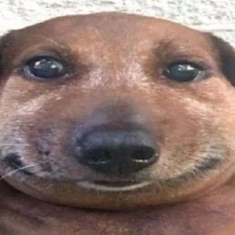 Vaflya, ����������, 24 ����