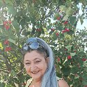 ���� ���������, ������, 20 ��� - ��������� 8 ������� 2024