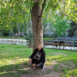 ����, ���������, 36 ���