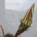 ���� ��������, ������ ��������, 42 ���� - ��������� 31 ���� 2024 � ������ �������