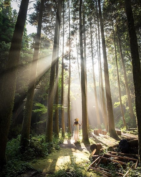 ��, ��� ������ ������� ���� ���������, �� ���� �� ��������� ����� ��������� ���. � ������� �����