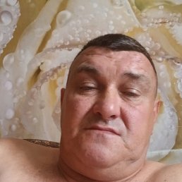 , 52, 