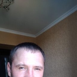 , 41, 