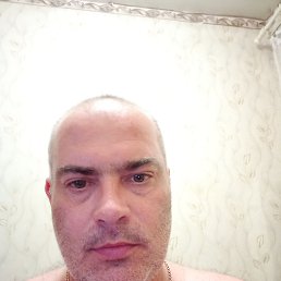���� ���������, ����, 42 ���� - ��������� 14 ���� 2026