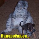 ���� ����������, ���������, 59 ��� - ��������� 21 ���� 2026 � ������ ������ ��������