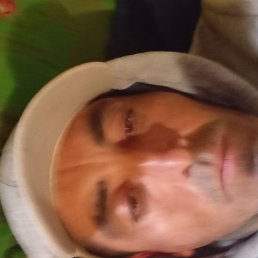 , 42, 