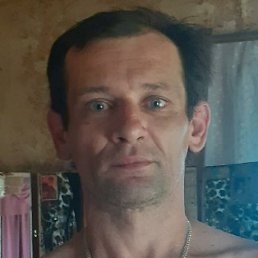 ������, �����-���������, 48 ���