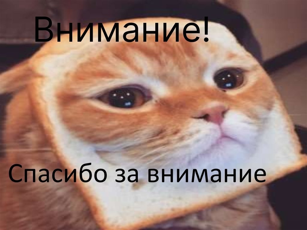  ,      - .      ...