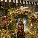 ���� �����, �����������, 63 ���� - ��������� 23 ������ 2026 � ������ ���� ����������