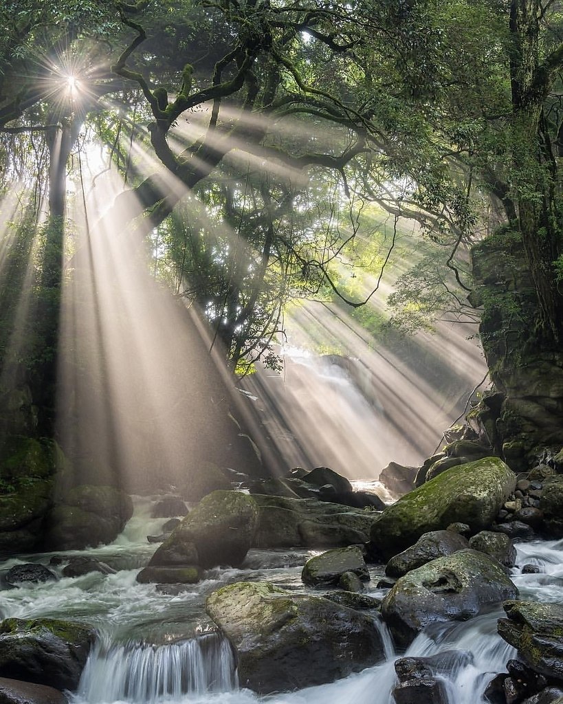 ��, ��� ������ ������� ���� ���������, �� ���� �� ��������� ����� ��������� ���. � ������� ����� - 4