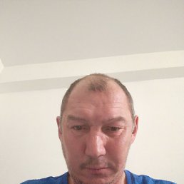 �������, ����, 46 ���